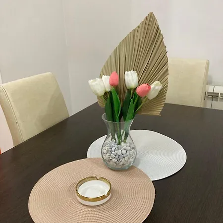 Tea דירה סרמסקה מיטרוביקה