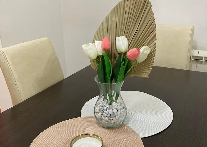 Tea 아파트 스렘스카 미트로비차